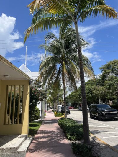 Washington Dog Park & Annex - Miami Beach, FL