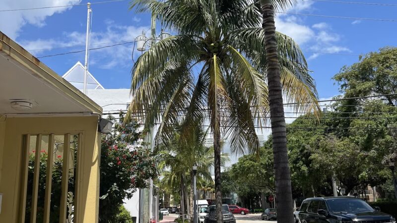 Washington Dog Park & Annex - Miami Beach, FL