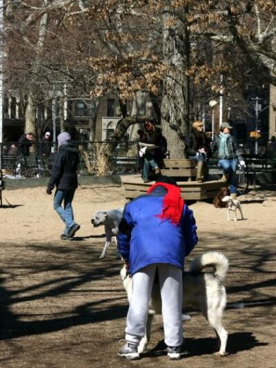 Washington Park - Small Dog Run - Miami Beach, FL