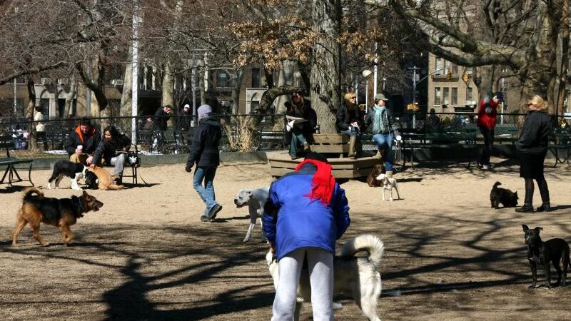Washington Park - Small Dog Run - Miami Beach, FL