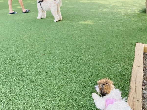 Washington Park - Small Dog Run - Miami Beach, FL