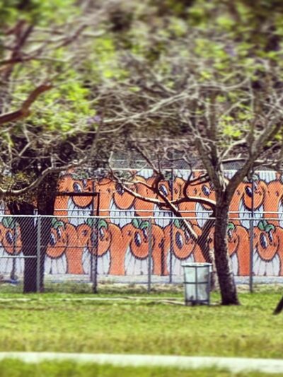 Arvida Park - Miami, FL