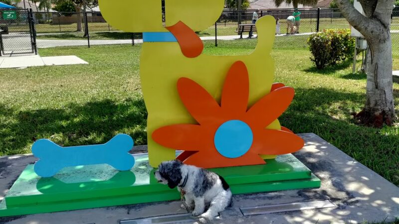 Bark Park - Miami, FL