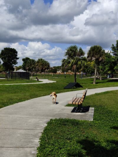Bark Park - Miami, FL