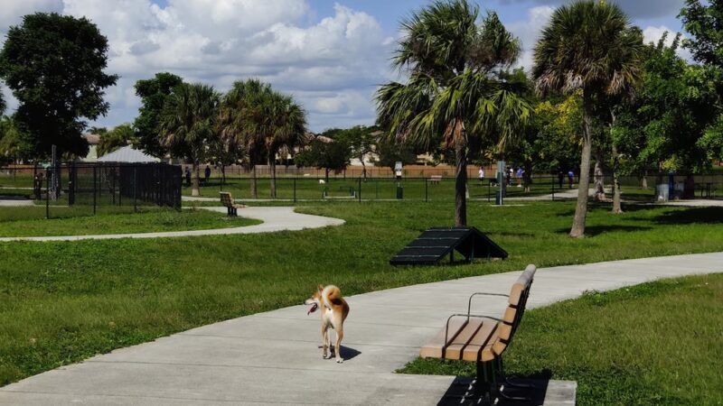 Bark Park - Miami, FL