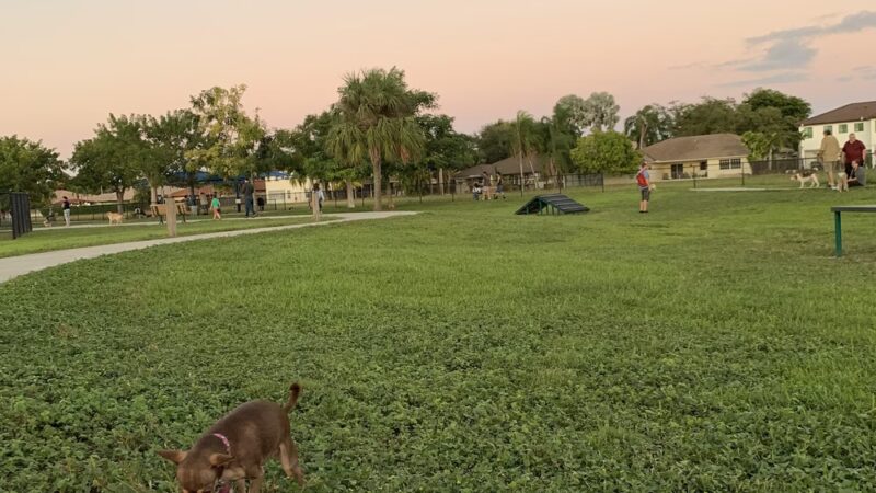 Bark Park - Miami, FL