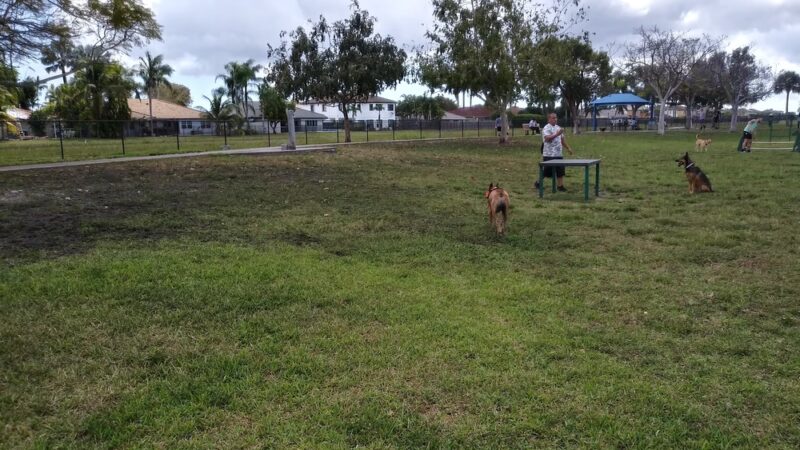 Bark Park - Miami, FL