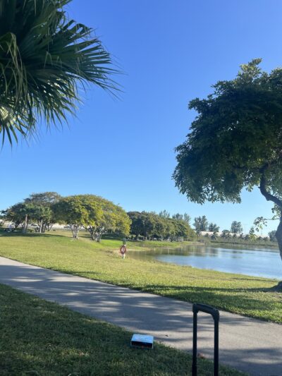 Bark Park Dog Park - Miami, FL