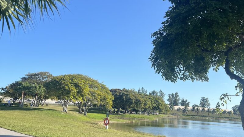 Bark Park Dog Park - Miami, FL