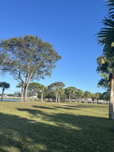 Bark Park Dog Park - Miami, FL