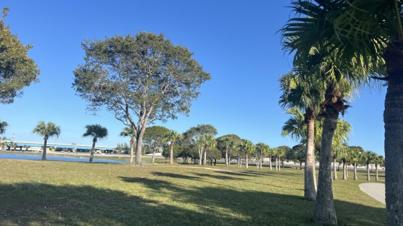 Bark Park Dog Park - Miami, FL