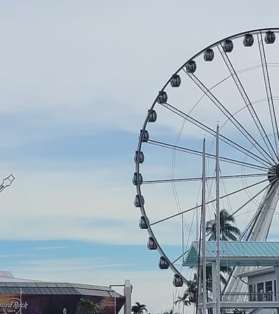 Bayfront Dog Park - Miami, FL
