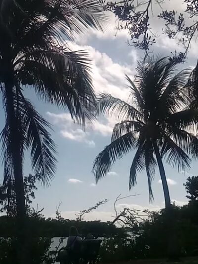 Coconut Grove Dog Park - Miami, FL