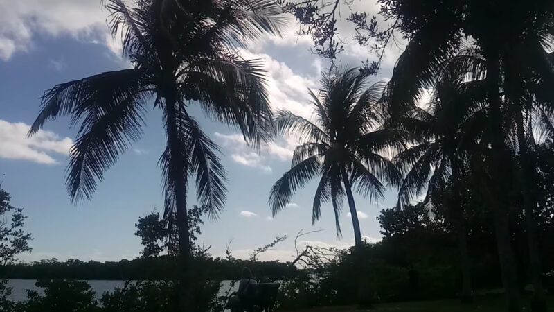 Coconut Grove Dog Park - Miami, FL