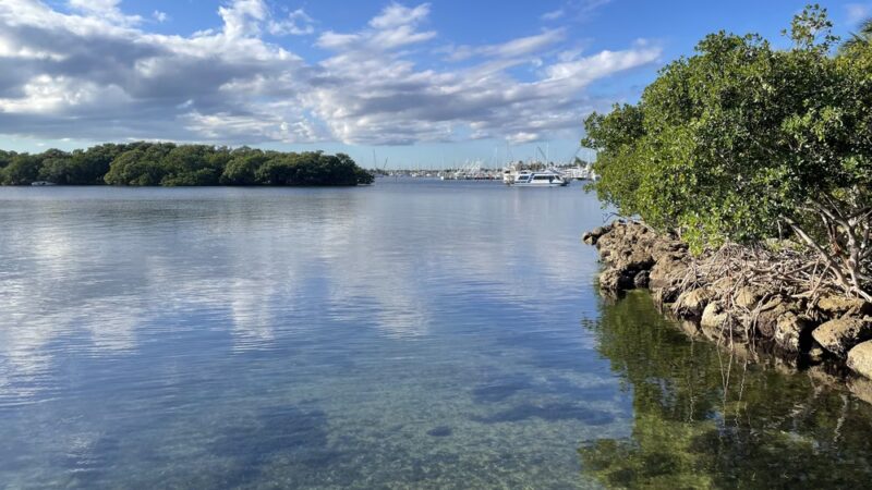 Coconut Grove Dog Park - Miami, FL