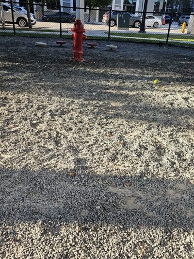 Dadeland Dog Park - Miami, FL