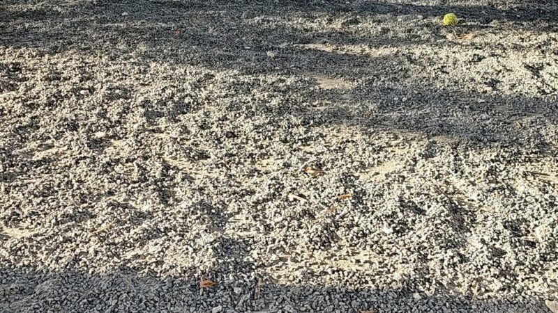 Dadeland Dog Park - Miami, FL