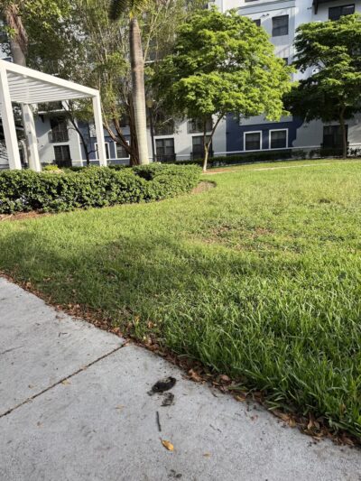 Dadeland Dog Park - Miami, FL