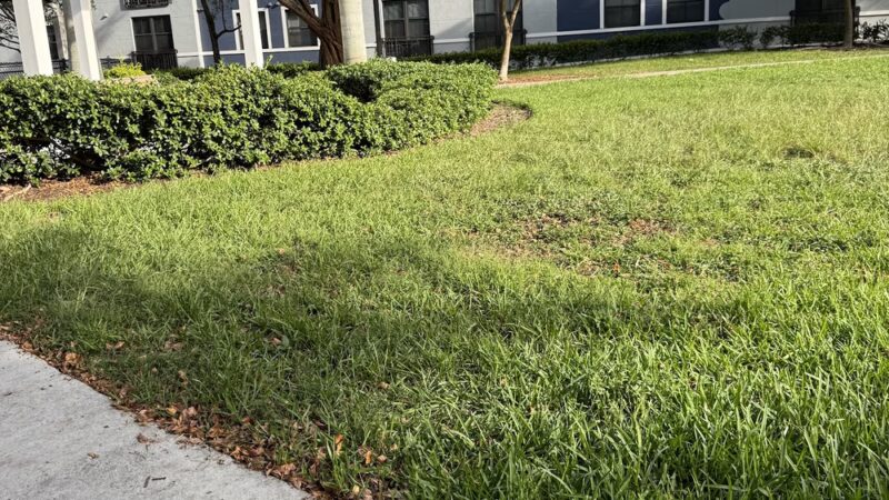 Dadeland Dog Park - Miami, FL