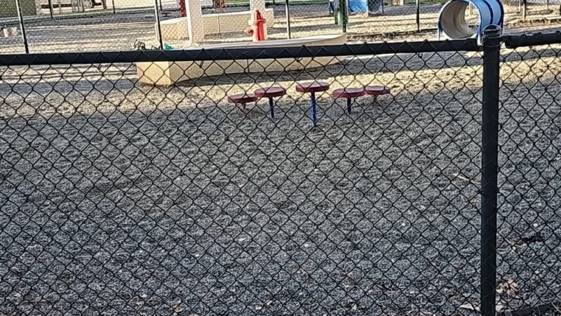 Dadeland Dog Park - Miami, FL