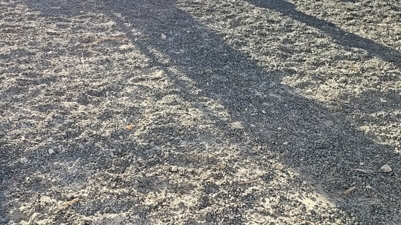 Dadeland Dog Park - Miami, FL