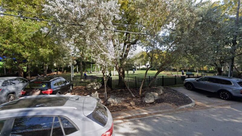 Dog Park - Miami, FL