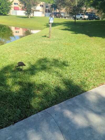 Kings Meadow Park - Miami, FL