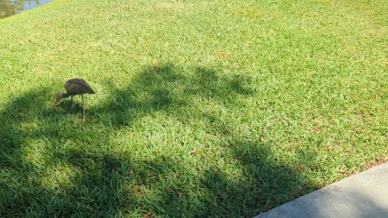 Kings Meadow Park - Miami, FL