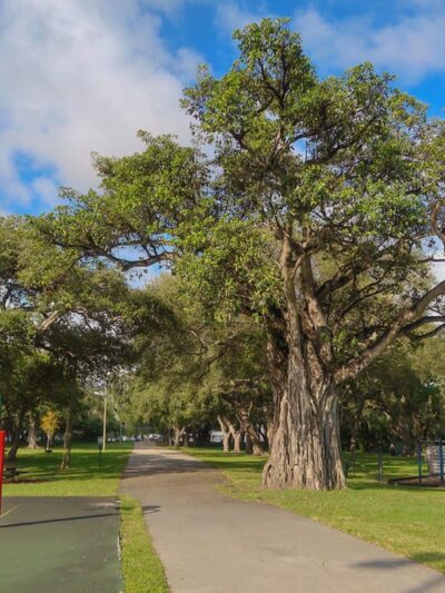 Legion Park - Miami, FL