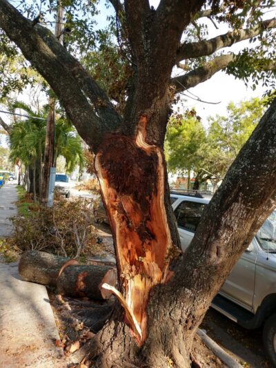 Lemon City Park - Miami, FL