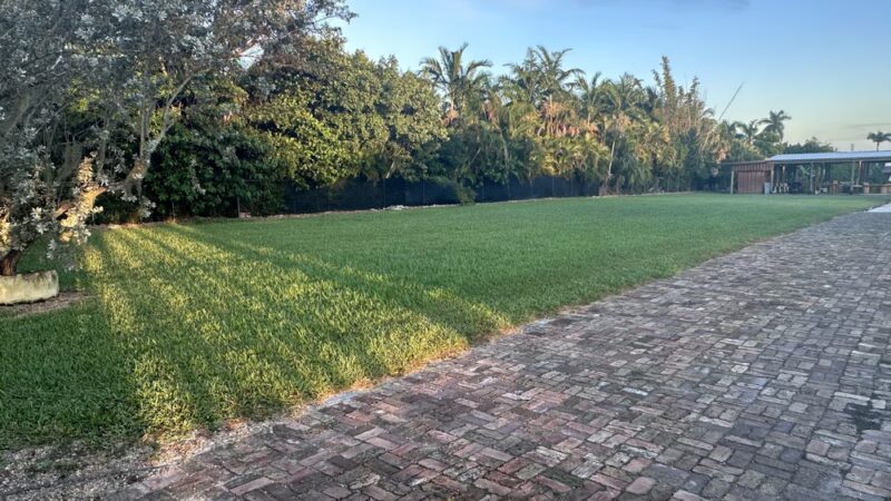 LMN Private Dog Park - Miami, FL