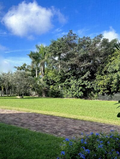 LMN Private Dog Park - Miami, FL