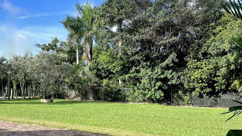 LMN Private Dog Park - Miami, FL