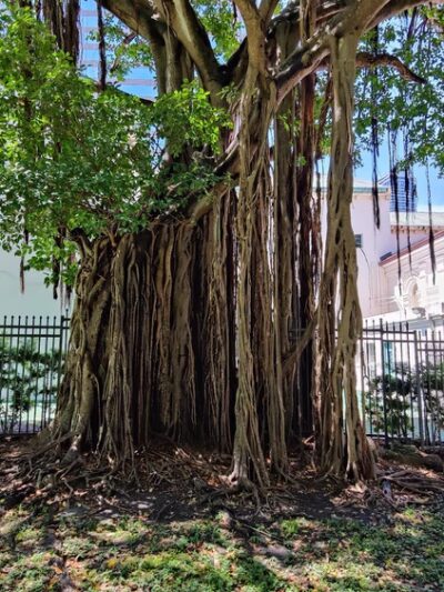 Mary Brickell Park - Miami, FL