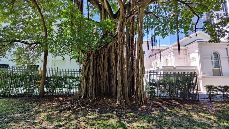 Mary Brickell Park - Miami, FL