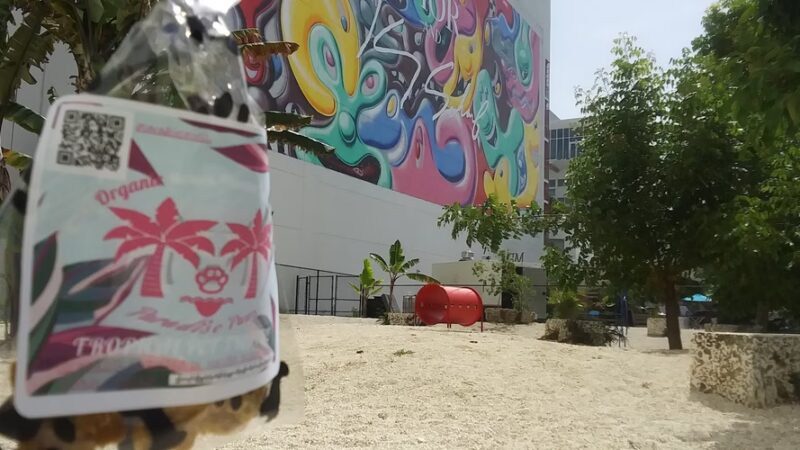 Miami Design District Dog Park - Miami, FL