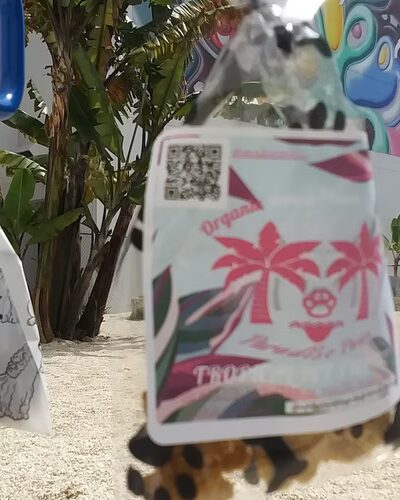 Miami Design District Dog Park - Miami, FL