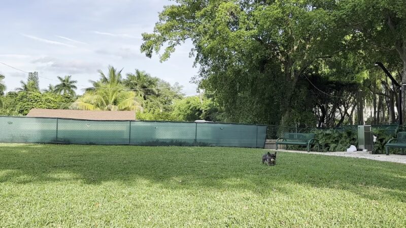 Quayside Doggie Park - Miami, FL