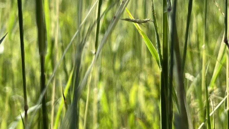 Rockdale Park - Miami, FL