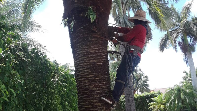 Rockdale Park - Miami, FL