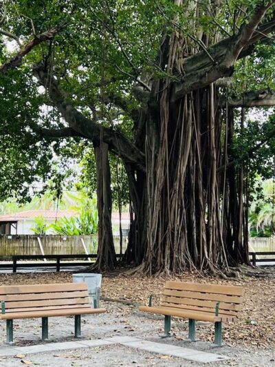 San Jacinto Park - Miami, FL