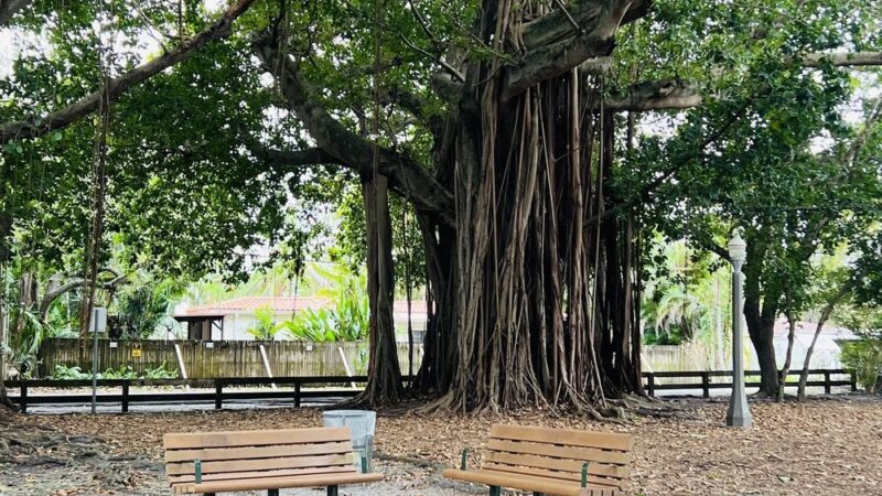 San Jacinto Park - Miami, FL