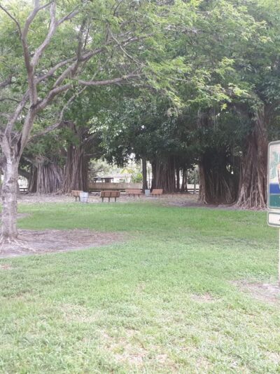 San Jacinto Park - Miami, FL