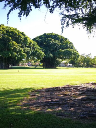 San Jacinto Park - Miami, FL