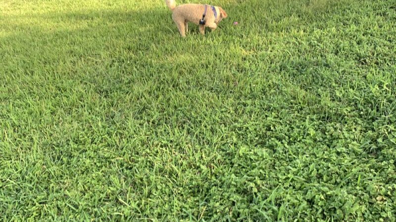 West Kendall District Park - Miami, FL