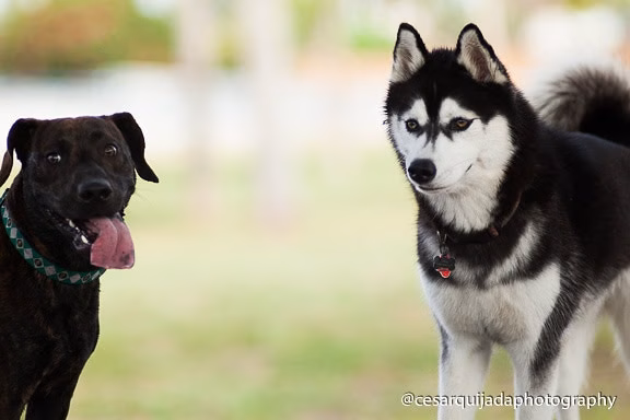 West Kendall District Park - Miami, FL