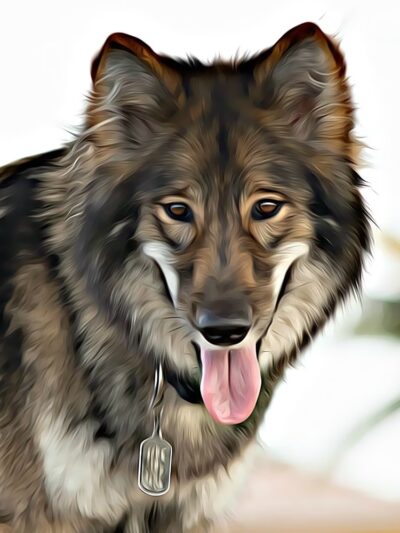 West Kendall District Park - Miami, FL