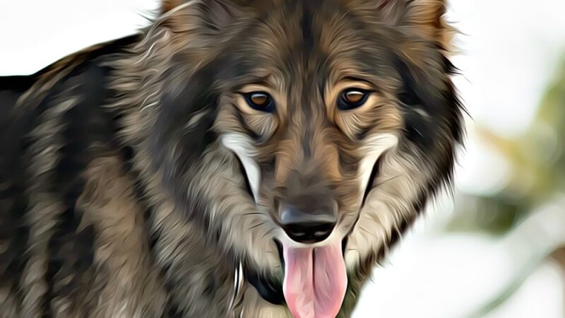 West Kendall District Park - Miami, FL