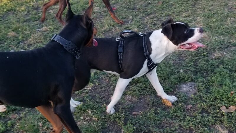 West Kendall District Park - Miami, FL