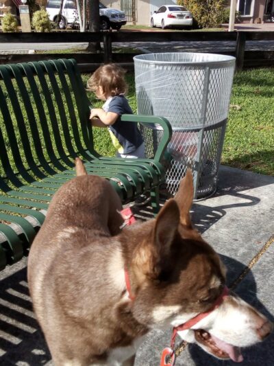 Westbrook Park - Miami, FL